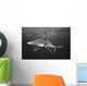 USA Sandbar Shark near Wall Decal