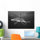USA Sandbar Shark near Wall Decal