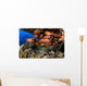 USA Divers and School Wall Decal