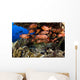 USA Divers and School Wall Decal