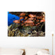 USA Divers and School Wall Decal