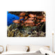 USA Divers and School Wall Decal