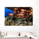 USA Divers and School Wall Decal