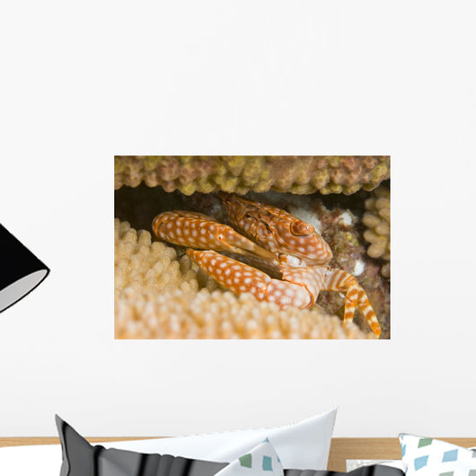 USA Yellow Spotted Guard Wall Decal