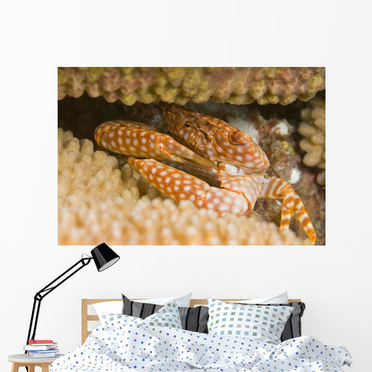 USA Yellow Spotted Guard Wall Decal