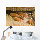 USA Yellow Spotted Guard Wall Decal