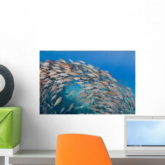 USA School Yellowfin Goatfish Wall Decal Design 3