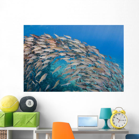 USA School Yellowfin Goatfish Wall Decal Design 3