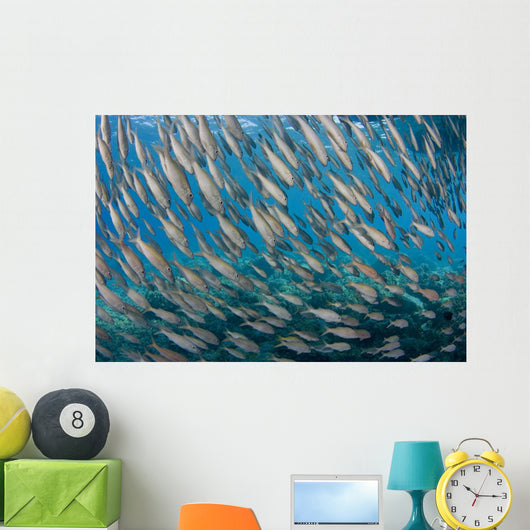USA School Yellowfin Goatfish Wall Decal Design 2