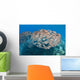 USA School Yellowfin Goatfish Wall Decal Design 1
