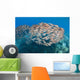 USA School Yellowfin Goatfish Wall Decal Design 1