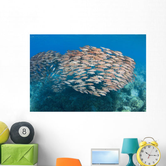 USA School Yellowfin Goatfish Wall Decal Design 1