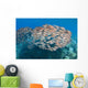 USA School Yellowfin Goatfish Wall Decal Design 1