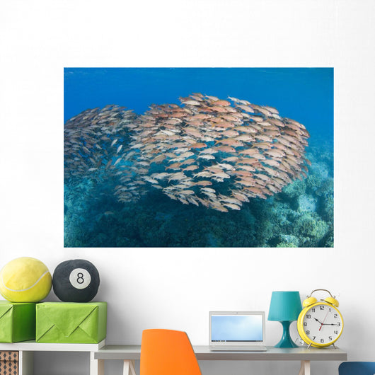 USA School Yellowfin Goatfish Wall Decal Design 1