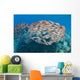 USA School Yellowfin Goatfish Wall Decal Design 1