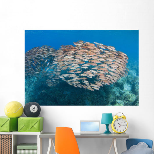 USA School Yellowfin Goatfish Wall Decal Design 1
