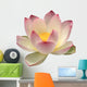 A Lotus Flower Wall Decal