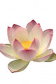 A Lotus Flower Wall Decal