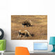 Male and Female Moose Wall Decal