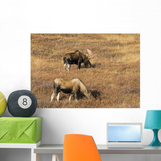 Male and Female Moose Wall Decal
