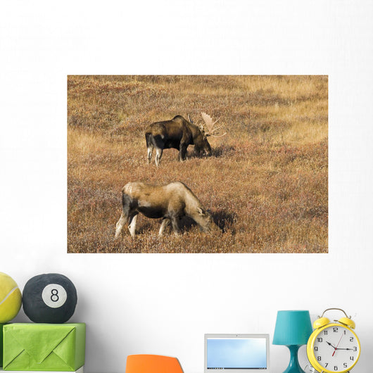 Male and Female Moose Wall Decal
