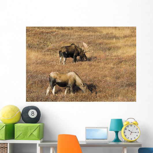 Male and Female Moose Wall Decal