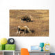 Male and Female Moose Wall Decal