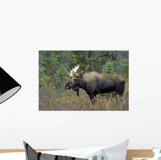 Moose Forest Wall Decal Design 2