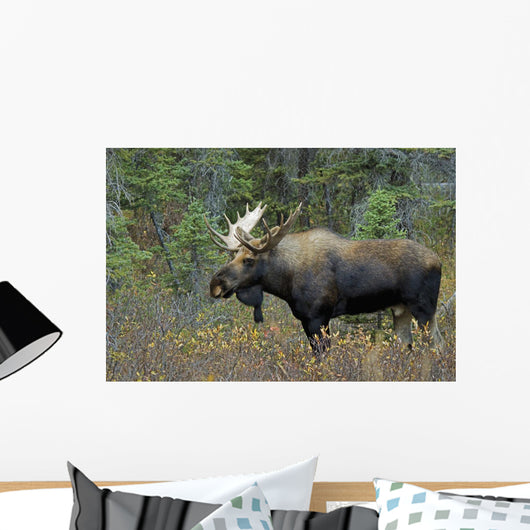 Moose Forest Wall Decal Design 2