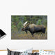 Moose Forest Wall Decal Design 2