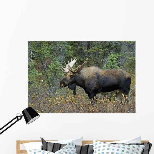 Moose Forest Wall Decal Design 2