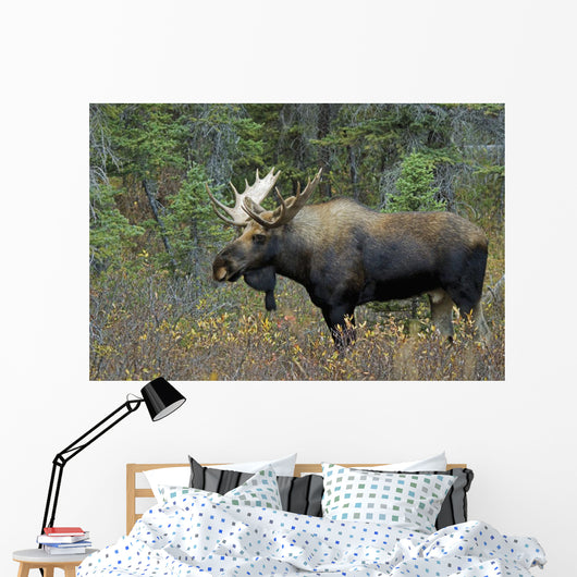 Moose Forest Wall Decal Design 2