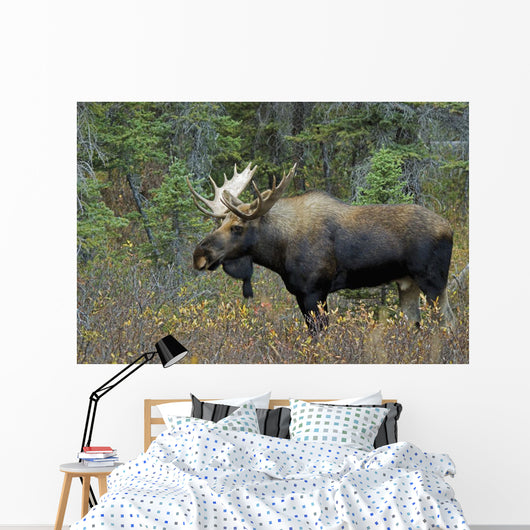 Moose Forest Wall Decal Design 2