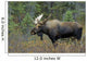 Moose Forest Wall Decal Design 2