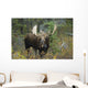 Moose Forest Wall Decal Design 1