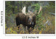 Moose Forest Wall Decal Design 1