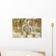 Young Coyote Forest Wall Decal