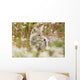 Young Coyote Forest Wall Decal