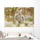Young Coyote Forest Wall Decal