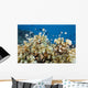 Reticulated Damselfish Is Also Wall Decal