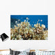 Reticulated Damselfish Is Also Wall Decal