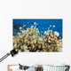 Reticulated Damselfish Is Also Wall Decal