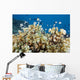 Reticulated Damselfish Is Also Wall Decal