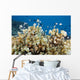 Reticulated Damselfish Is Also Wall Decal