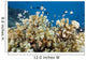 Reticulated Damselfish Is Also Wall Decal