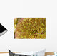 Mushroom Coral Wall Decal