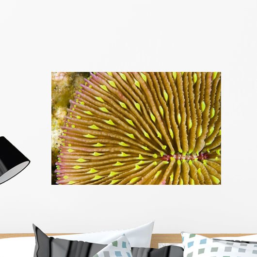 Mushroom Coral Wall Decal