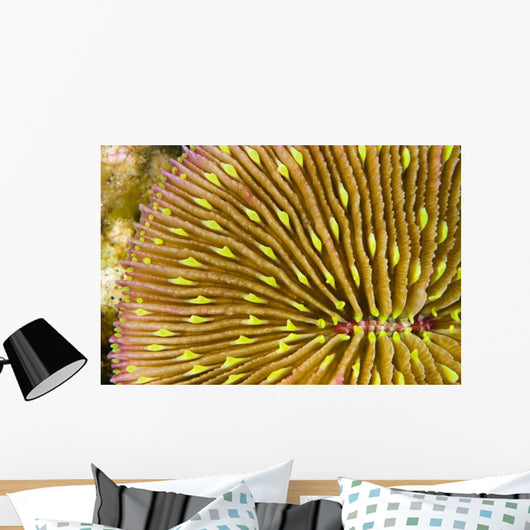 Mushroom Coral Wall Decal