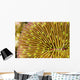 Mushroom Coral Wall Decal