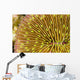 Mushroom Coral Wall Decal